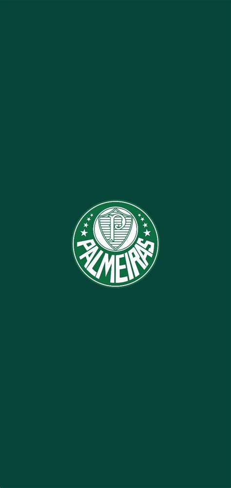 Pin On Palmeiras