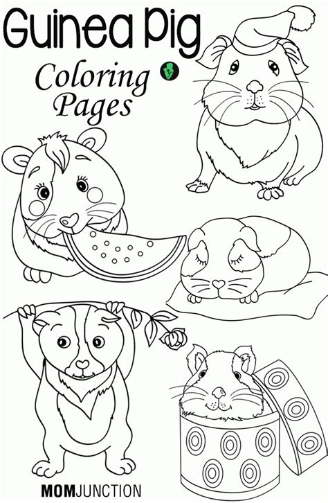 Ginnie Pig Coloring Pages - Coloring Home