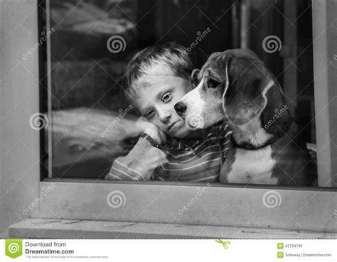 Alone Sad Little Boy With Dog Near Window Stock Image
