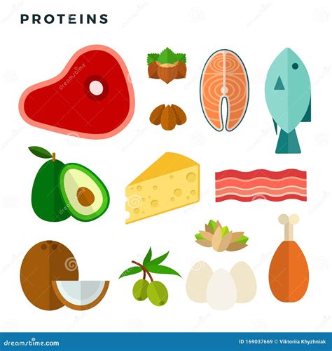 Foods High In Protein Vector Flat Isolated Stock Vector Illustration