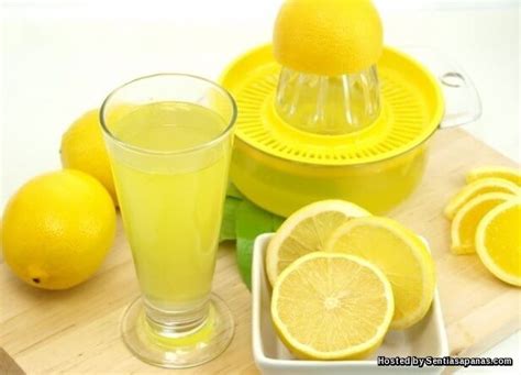 Dengan mendapatkan khasiat air lemon, selain bisa mendapatkan asam askorbat, kamu juga bisa menambah sobat, itulah khasiat air lemon yang terbukti mampu mengatasi sakit maag. 6 Rahsia Kecantikan Dan Kebaikan Minum Lemon, Air Panas ...