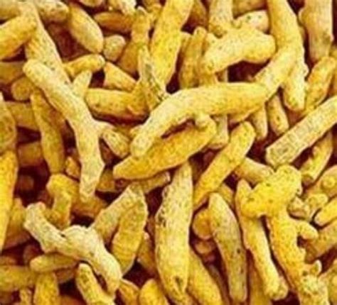 Herbal Turmeric Finger Manufacturer Supplier From Ahmedabad India