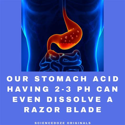 What Causes Acidity In Stomach