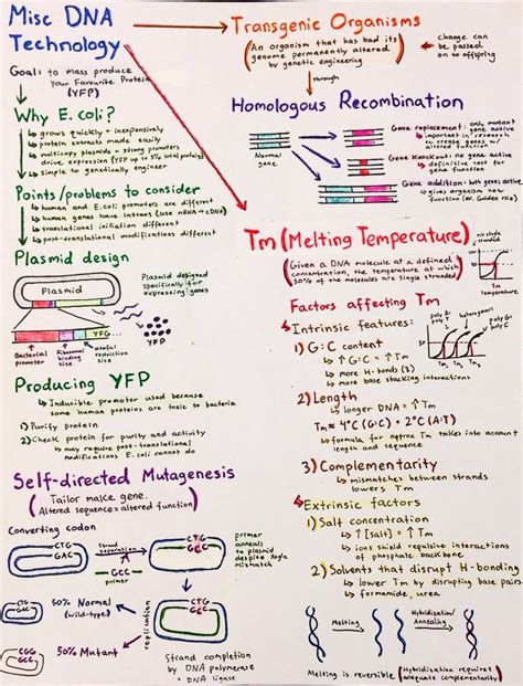 Introductory Biochemistry Flowcharts Biochemistry Teaching Biology