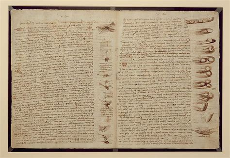 eine seite des codex leicester 1508 12 sepia tinte auf leinenpapier