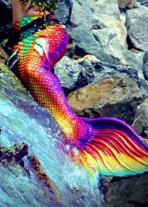 Mermaid With Different Colors Tail Sitting On A Rock And Water Rainbow