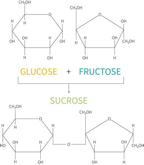 Glucose And Fructose Raktualibecanda