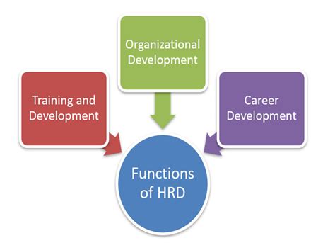 Human Resource Development Hrd Definition Process Functions