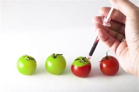 Improved nutritional value of food, decreased infection by. Genetic Engineering | Entered into my camera club's dpi ...