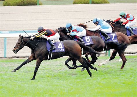 ※放送時間は変更になる場合がございます。 原作： 荒木飛呂彦（集英社ジャンプ コミックス刊） 総監督： 津田尚克 ／ 監督： 木村泰大・髙橋秀弥 ／ シリーズ構成： 小林靖子 ／ キャラクターデザイン： 岸田隆宏 ／ 総作画監. 【マイルCS】グランアレグリアが同一年マイルG1春秋連覇 ...