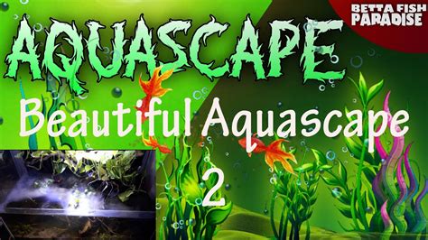 Beautiful Aquascape 2 YouTube