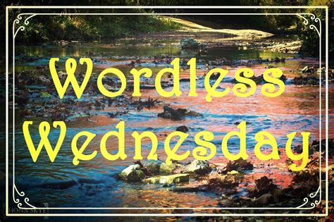 Wordless Wednesday With Silent Jay Shona Skye Creative Photography