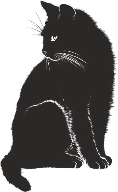 Set of funny cats, 10 cards for your design with place for your text. Cat Shadow Silhouette · Free vector graphic on Pixabay