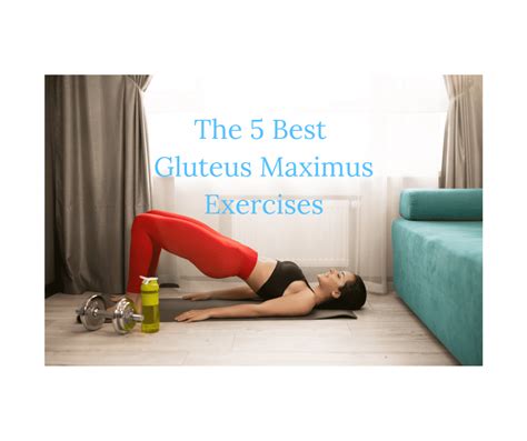 The 5 Best Gluteus Maximus Exercises W Helpful Trainer Tips To