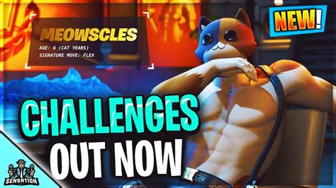 New Meowscles Mischief Challenges Out Now Youtube