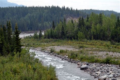 Denali national park camping reservations. Living The Dream...: Thursday, August 15, 2013 (Travel to ...