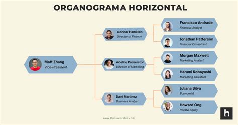 O que é organograma Aprenda como fazer e conheça os tipos e modelos