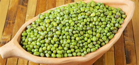 Anggapan itu tidak semuanya benar, karena tanaman ini mengandung zat gizi tinggi. Rahasia Masak Bubur Kacang Hijau yang Lembut, Empuk dan ...