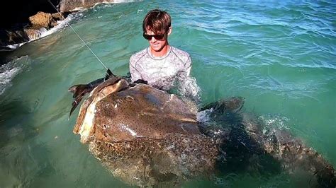 Giant Fish Biggest Ever Caught From Land Youtube