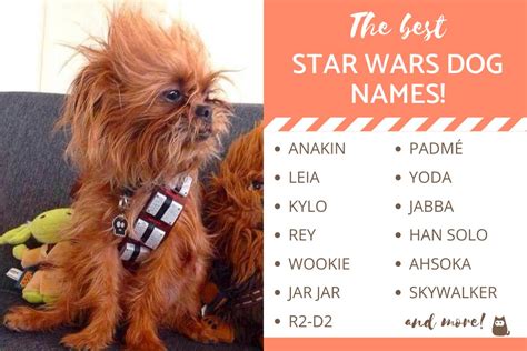 The Best Star Wars Dog Names 100 From All The Movies