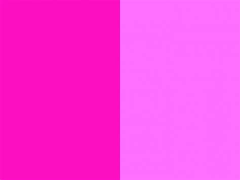 Free Download Blush Shocking Pink And Shocking Pink Crayola Three Color