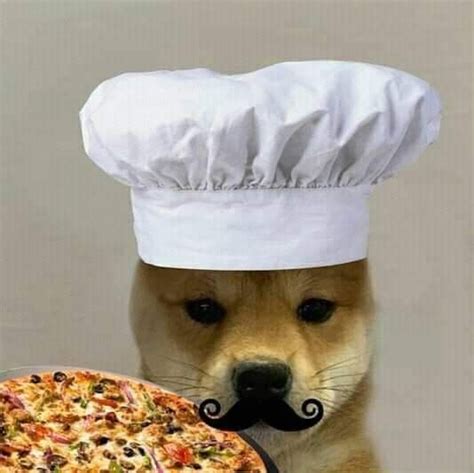 A Dog Wearing A Chefs Hat And Holding A Pizza In Front Of His Face