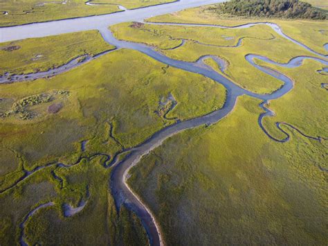 Usa Aerial Photograph Of Salt Water Marshes On The Eastern Shore Of