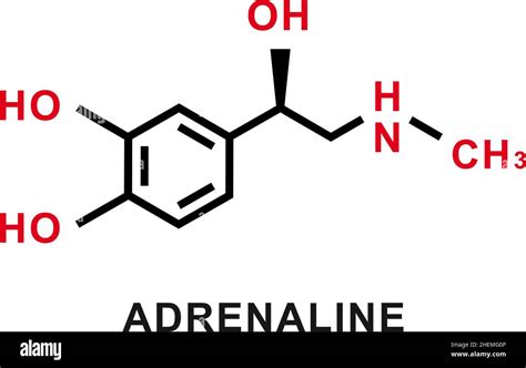 Formula Estrutural Da Adrenalina