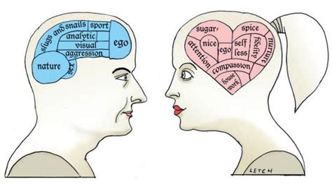 The Male V Female Brain Is It All In The Mind