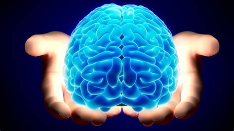 The Most Amazing Facts About The Human Brain Youtube
