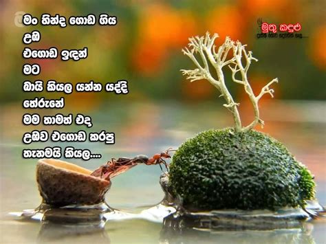 Sinhala Wadan Adara Amma Wadan