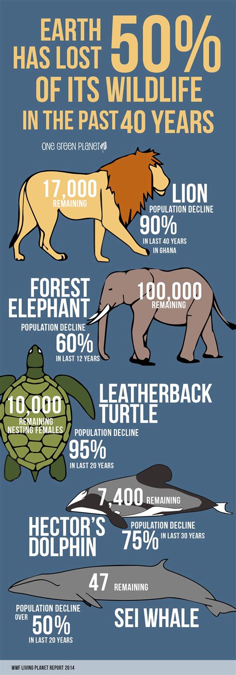This Infographic On How Much Wildlife Weve Lost In The Past 40 Years