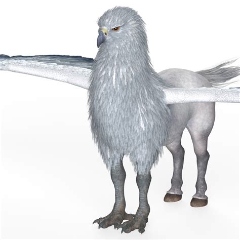 Fantasy Hippogriff 3d Model
