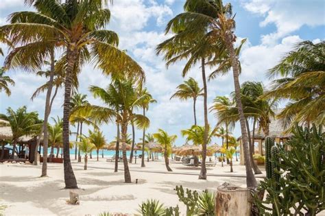 Manchebo Beach Resort Aruba