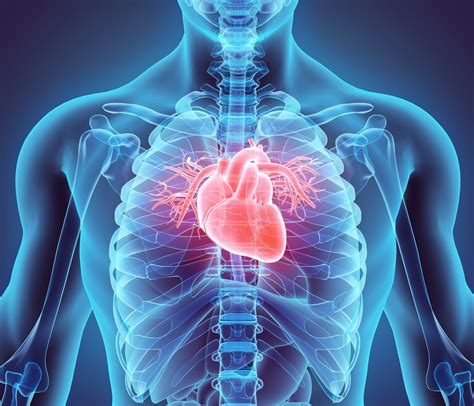 Heart Valve Disease Causes Symptoms And Treatment The Healthy