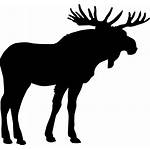 Moose Icon Shape Elk Transparent Svg Vector