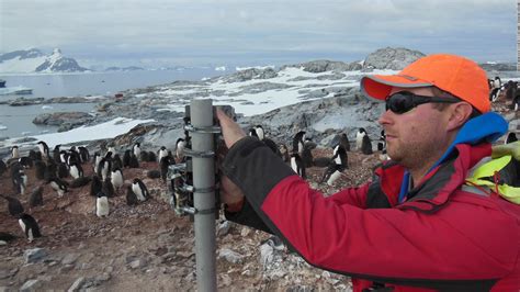 The Man Who Spies On Penguins For Science Cnn