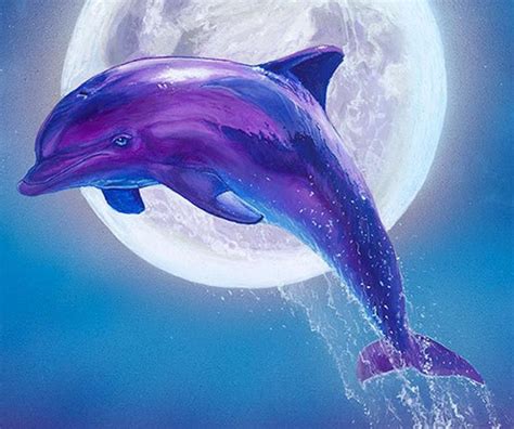 Dolphin Art Print Dolphins Art Dolphin Wall Decor Art Print Etsy In