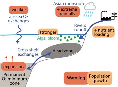 Risk Of Permanent Coastal Dead Zones In The Tropical Indian Ocean