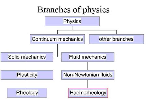 Haemodynamics Haemorheology Branches Of Physics Branches