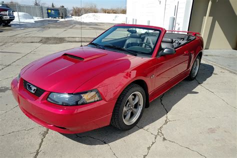 2001 Ford Mustang Gt Convertible With Only 44000kms Okotoks