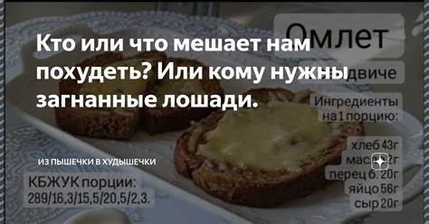 Кому помогла похудеть Кто или что мешает нам похудеть? Или кому нужны загнанные лошади. | Из Кто или что мешает нам похудеть? Или кому нужны загнанные лошади. | Из Кому помогла похудеть