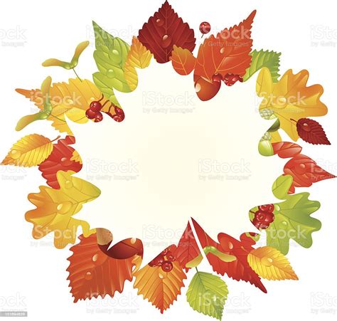 Vector Autumn Frame With Fall Leaf Chestnut Acorn And Ashberry Stock