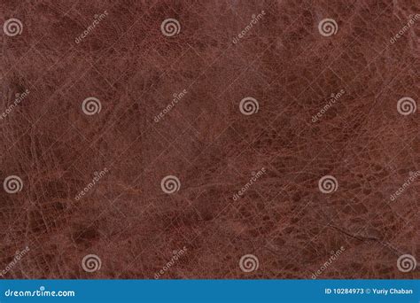 Leather Texture Stock Image Image Of Bumpy Mottled 10284973