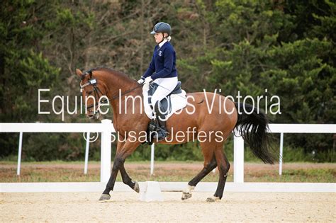 Equine Images Victoria Leader Equine Victorian Equestrian Interschool