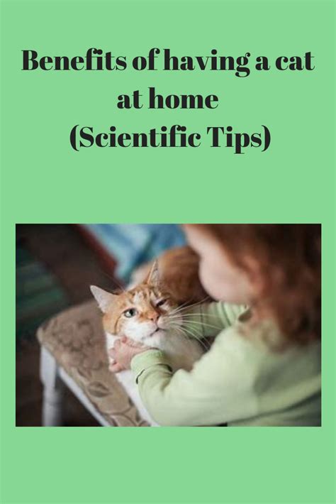 Benefits Of Having A Cat At Home Scientific Tips Pets Care Tips