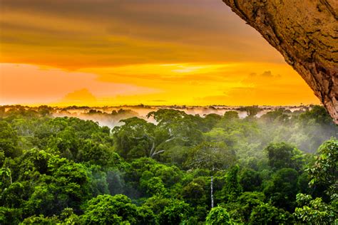 What Is The Worlds Largest Rainforest And Where Is It Located Ecchlist