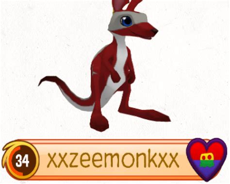 Kangaroo Animal Jam Fanon Wiki Fandom