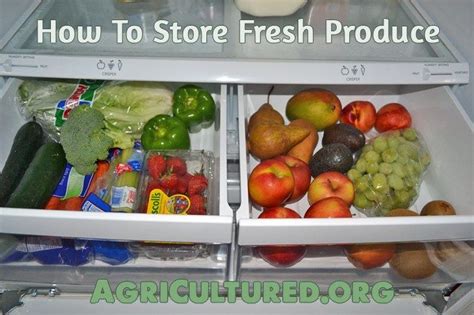 How To Store Fresh Produce Fresh Produce Farm Fresh Fruit Fruit Storage