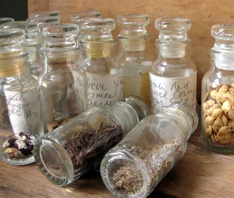 Take advantage of the customer loyalty program, one of the only online seed banks that still. FOLKWAYS NOTEBOOK: MY SEED BANK